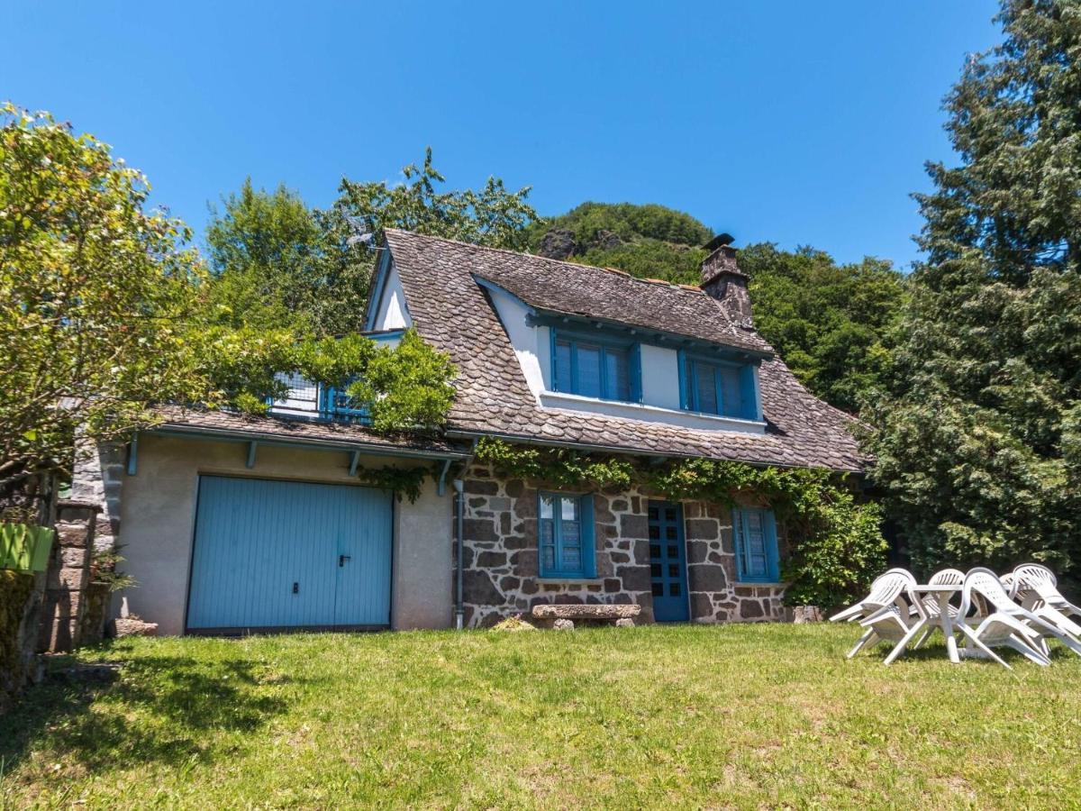 Beautiful Villa In The Parc Des Volcans D Auvergne Vic-sur-Cère Buitenkant foto