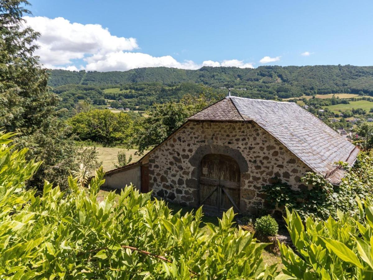Beautiful Villa In The Parc Des Volcans D Auvergne Vic-sur-Cère Buitenkant foto