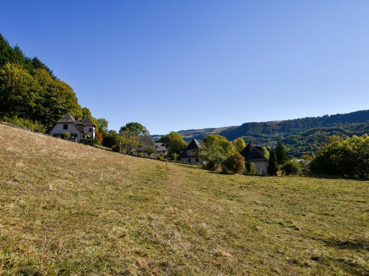 Beautiful Villa In The Parc Des Volcans D Auvergne Vic-sur-Cère Buitenkant foto