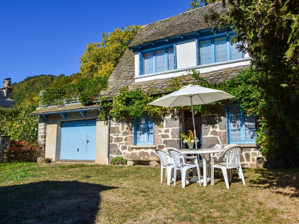 Beautiful Villa In The Parc Des Volcans D Auvergne Vic-sur-Cère Buitenkant foto