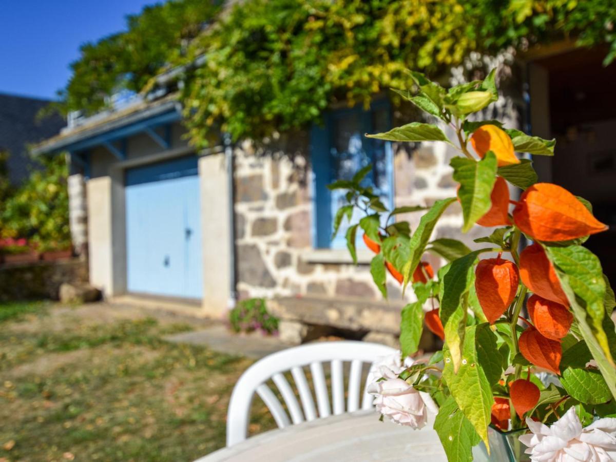 Beautiful Villa In The Parc Des Volcans D Auvergne Vic-sur-Cère Buitenkant foto